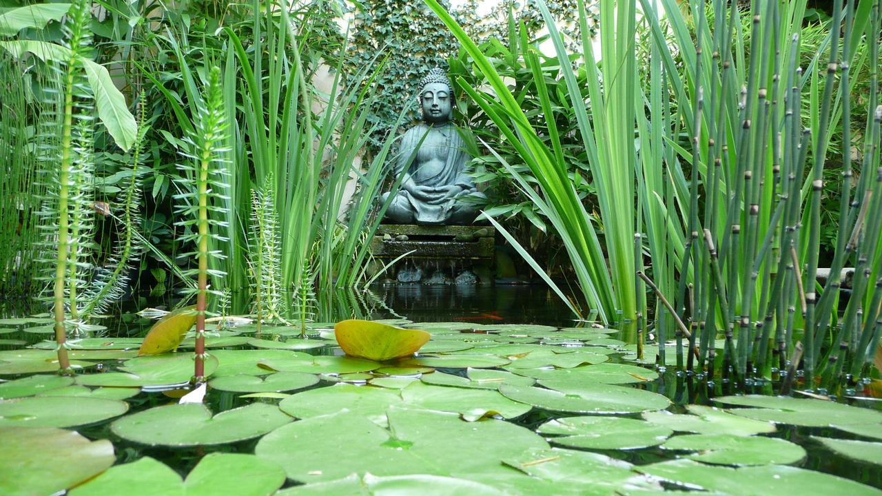 Penzion Exotic ออสตราวา ภายนอก รูปภาพ